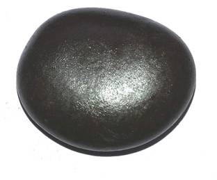 HARI OM RATAN KENDRA Shaligram Shila Nepal Gandaki River Saligram Stone | (150-200 gm) Decorative Showpiece  -  4 cm