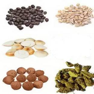 megoodluk 55 PCS Kaudi, Kamal Gatta, Gomti Chakra, Laghu Nariyal, Haldi Gaath Decorative Showpiece  -  2 cm