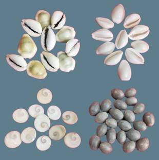 PujaSamadhaan Combo of White Kaudi/ Yellow Kaudi /KamalGutta / Gomati Chakra for Lakshmi Puja Decorative Showpiece  -  2 cm