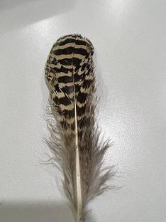 Baka Decorative Showpiece  -  6 cm