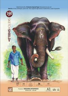 Greeshma A3 Artist Drawing Book - 100 Pages wiro Bound Sketch Pad