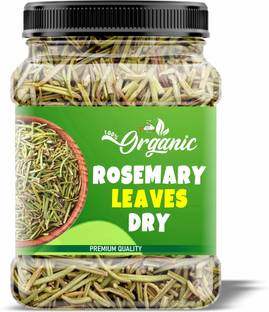 Groly Rosemary Dry Leave