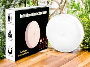 lightskart Sensor Light for Home Motion Sensor Light
