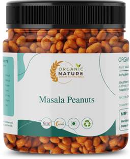 ORGANIC NATURE Masala Peanuts | Delicious Indian Snack