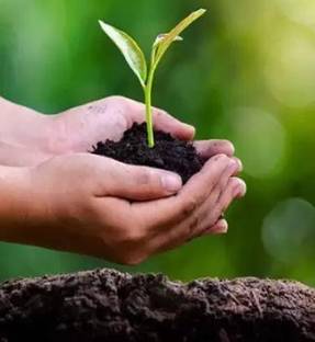 ROOT MASTER Soil Manure Manure