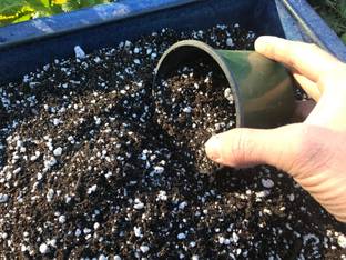 Garden of eiden Enriched Premium Organic Potting Mix with Required Fertilizers for Plant Potting Mixture