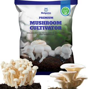 Nelgates Mushroom Cultivator, Organic Soilless Mixture, for Mushroom Cultivation Potting Mixture