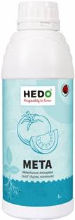 HEDO Metarhizium Anisopliae Liquid(1x10^8CFU/g)1L Bio-organic for plants control pest Potting Mixture