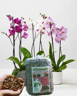Happy Jiffy Garden Friends 4 in One Orchid Potting Mix. Coco Husk, LECA Clay Ball, Charcoal and Perlite. Potting Mixture