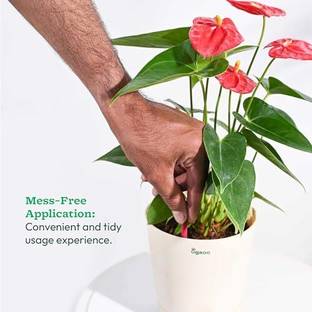UGAOO Fertilizer Bloom Sticks for All Home Garden Plants - Pack of 48 Fertilizer
