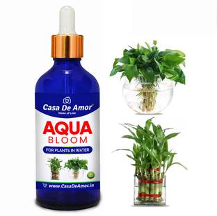 Casa De Amor Aqua Bloom Fertilizer for Lucky Bamboo, Money Plants & Aquatic Plants (100ml) Fertilizer