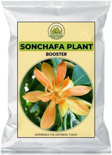 Dharshini Farm Product SONCHAFA FLOWER PLANT FERTILIZER |Golden Swarna Champa| Manure