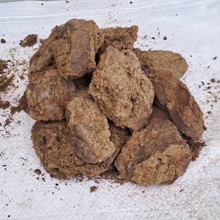 Plantsab Cow Dung 500gm Gobar ke Uple Manure, Potting Mixture, Soil