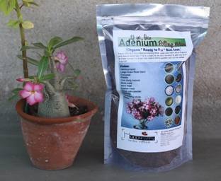 Happy Jiffy Garden Friends 100% Pure Organic 12 in One Adenium Potting Mix Potting Mixture