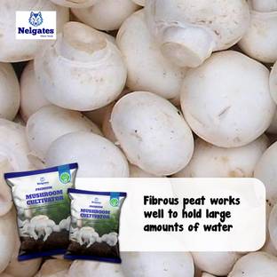 Nelgates Organic Soilless Mixture, for Mushroom Cultivation Soil
