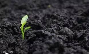 Shree Ganga Enterprise Black Soil for Gardening Soil