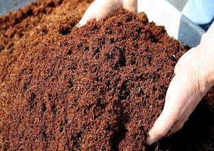Flipkart SmartBuy Cocopeat powder Potting Mixture