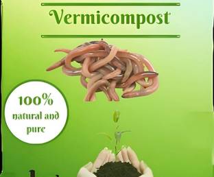 vermi Organic Vermicompost Fertilizer Manure For PlantS Manure, Soil, Fertilizer