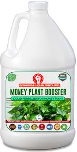 Erwon Money Plant Booster , Premium Essential Powerful Liquid Fertilizer for the Best Growth of Money Plants with Growth Nutrients and Charged Micro-Organism Manure