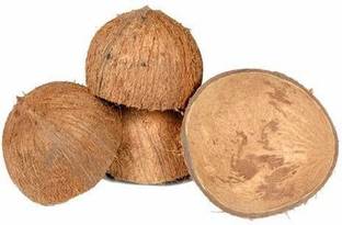 Sumukh Tulsi Mala Coconut Husk Half Khappata Husk