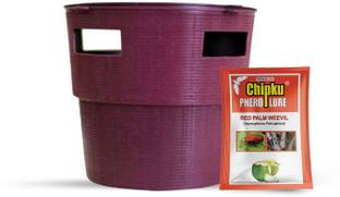 Chipku Pheromone Trap Bucket Trap for RPW Red Palm Weevil (Rhynchophorus ferrugineus)