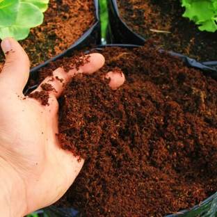 Tim Tim Agro Garden Soil - Cocopeat Dry 250 GM Soil