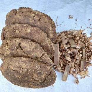 Plantsab Big Cow Dung Cake 1kg (1 piece=300gm) and Wooden Scrap 200gm Manure