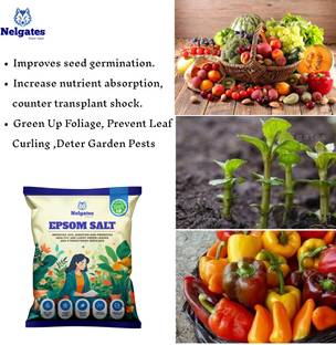 Nelgates Epsom salt for plant growth Fertilizer