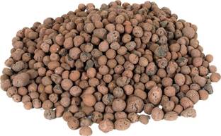 MASHKI leca / hydroton for 50 netcups PREMIUM HYDROTON LIGHTWEIGHT EXCLUSIVE CLAY AGGREGATE (LECA) Pebble Clay Ball For Hydroponic Soil Manure -1kg Fertilizer