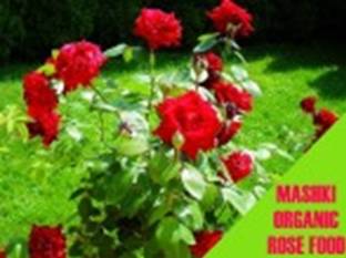 MASHKI Rose Care for all rose plants Organic Rose Flower Food Fertilizer