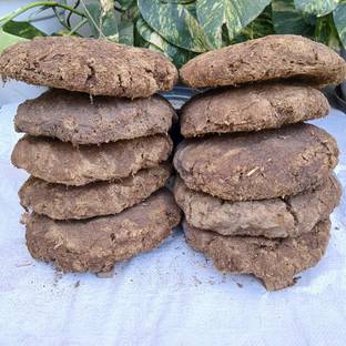 Plantsab Big Size Cow Dung Cake 3 Piece (1 Piece=300gm) Potting Mixture, Husk