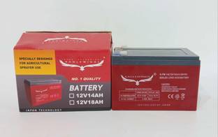 eagleWings HIGH QUALITY HIGH PERFORMANCE 12x14 BATTERY Gel Solar Battery