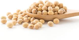 Veganic Soya Chunks