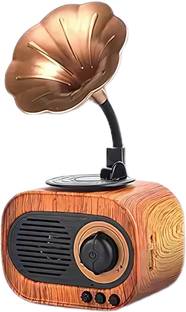 wild gear WGB5 5 W Bluetooth Home Audio Speaker