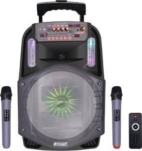 Target Wireless Bluetooth 12" Portable Trolley Speaker 300 WATTS RMS 100 W Bluetooth PA Speaker