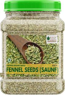 Bliss of Earth 400GM Certified Organic Fennel Seed Saunf Whole Spice