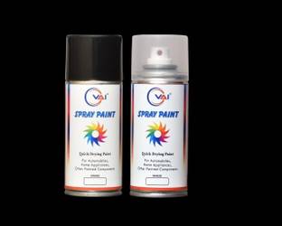 VAI Spray Paint Compatible for Maruti Suzuki Glistening Grey & Gloss Clear Grey Spray Paint 450 ml