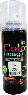 COLORMAGIC CALYPSO RED SPRAY PAINT COMPATIBLE FOR TATA PUNCH Black Spray Paint 200 ml