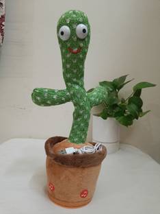 Bhudhar Cactus