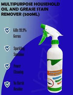 REGLET Stain & Rust Remover Spray for Iron, And Surface Stain Remover