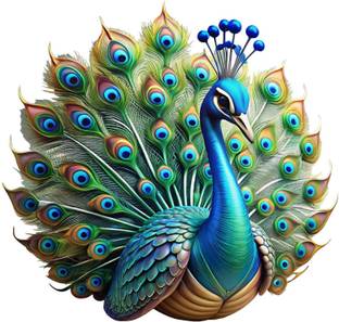 CreativeEdge 65 cm Decorative Beautiful Peacock Wall Sticker Self Adhesive Sticker