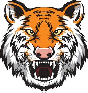 Design Decor 60.96 cm Tiger Scary Face Wall Sticker & car Sticker Size 30x30 Self Adhesive Sticker