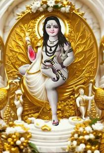 शुभफ्लाई Large विनाइल स्टिकर स्टिकर