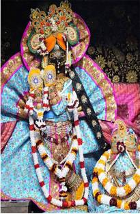 Wall gallery 45.72 cm Shri Radhavallabh wall Poster|Vrindavan Shri Harivansha Worship Glowing Self Adhesive Sticker