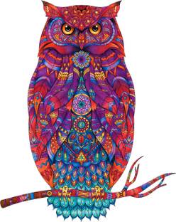 Design Decor 60.96 cm Multicolor Owl Sticker Wall Decals Decorative Size 60x45_Inch Self Adhesive Sticker