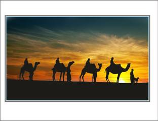 Sahaj Décor 54 cm Walking with camel thoght thar desert india wall poster size (91x54 cm ) Self Adhesive Sticker