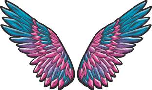 AH Decals 60 cm Multicolor Wings wallsticker for Living Room, Bedroom.Kids Room 60x36cm Self Adhesive Sticker