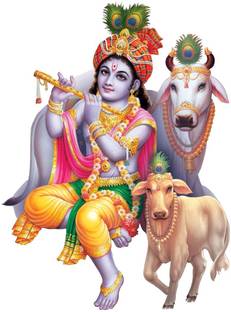 Decor Villa 50 cm 3D Krishna with Cow JUST Peel & Stick Trendy for Living Room Prayer Room etc Self Adhesive Sticker