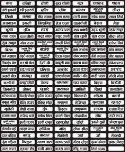 ShubhFly 4 cm Masala Sticker Black 160 Labels Pack of 1 Kitchen Containers/Pantry Masala Name Self Adhesive Sticker