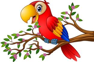 Flipkart SmartBuy Vinyl Decorative Multicolor Wallpaper